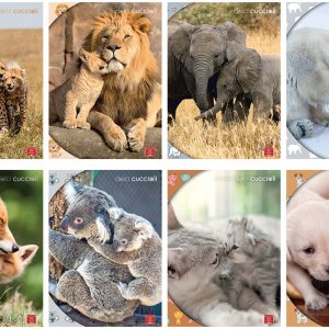 Bilježnica A4/K Pigna Dolci Cuccioli